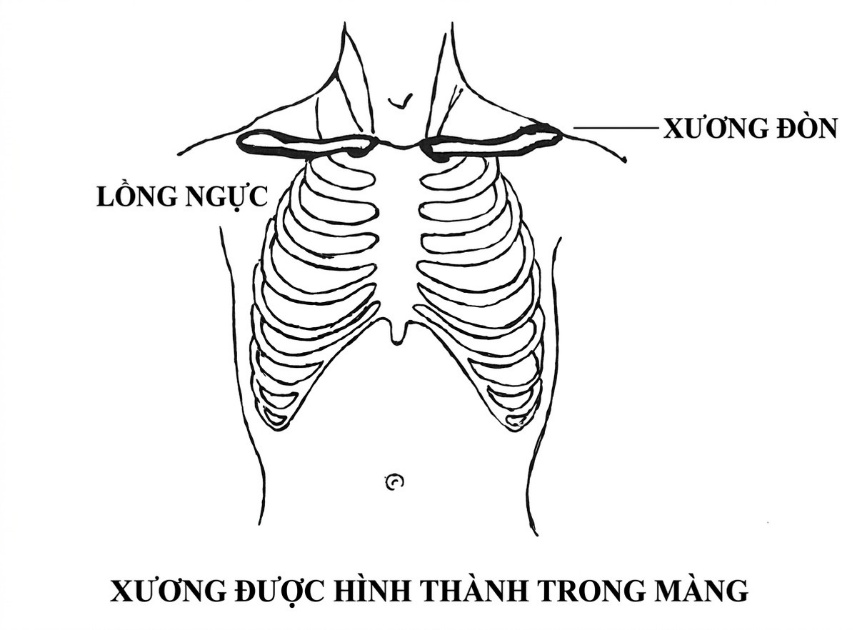 esoteric-anatomy-part-one-song-ngu_upscaled_20260719_061357-46.webp 00024.jpg
