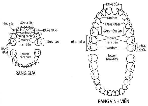 esoteric-anatomy-part-one-song-ngu_upscaled_20260719_061357-60.webp 00044.jpg