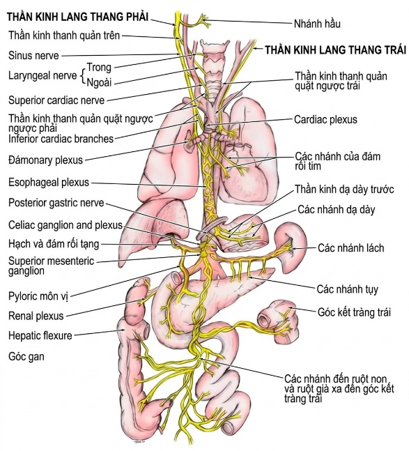 esoteric-anatomy-part-one-song-ngu_upscaled_20260719_061357-62.webp 00041.jpg