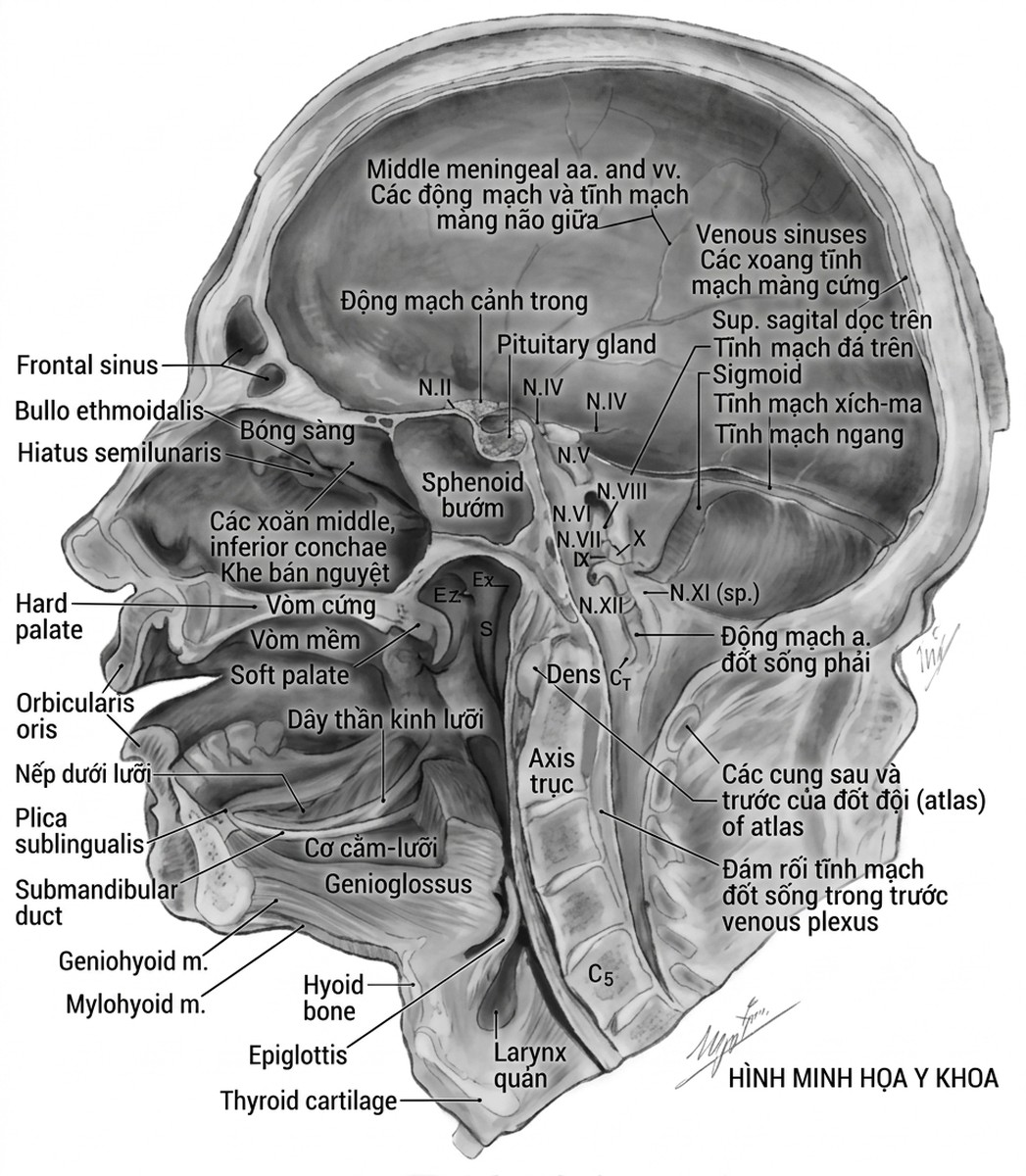 esoteric-anatomy-part-one-song-ngu_upscaled_20260719_061357-63.webp 00046.jpg