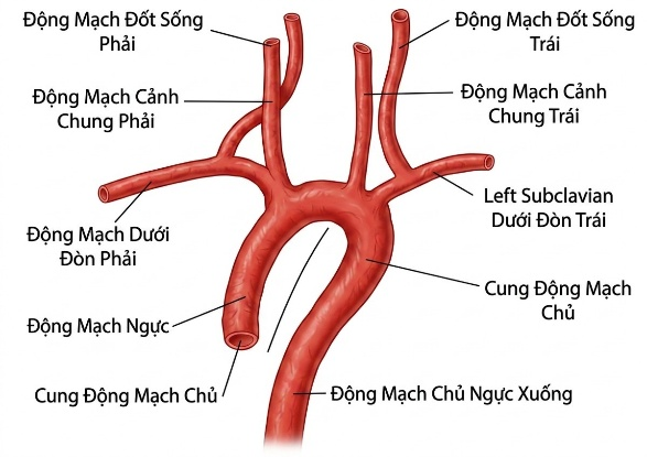 esoteric-anatomy-part-one-song-ngu_upscaled_20260719_061357-74.webp 00022.jpg