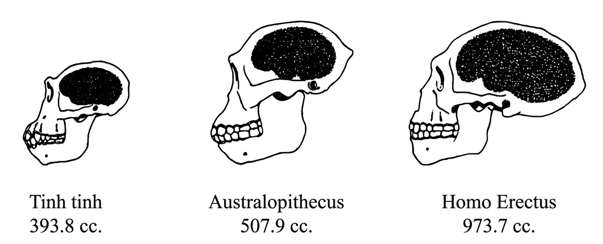 esoteric-anatomy-part-two-song-ngu-openai_upscaled_20260719_140641-12.webp 00050.jpg