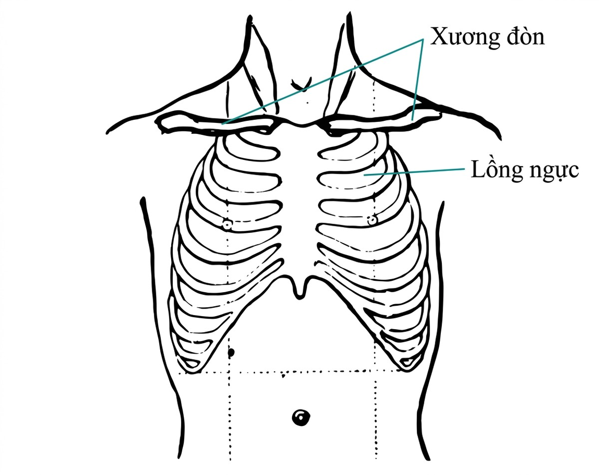 esoteric-anatomy-part-two-song-ngu-openai_upscaled_20260719_140641-17.webp 00034.jpg