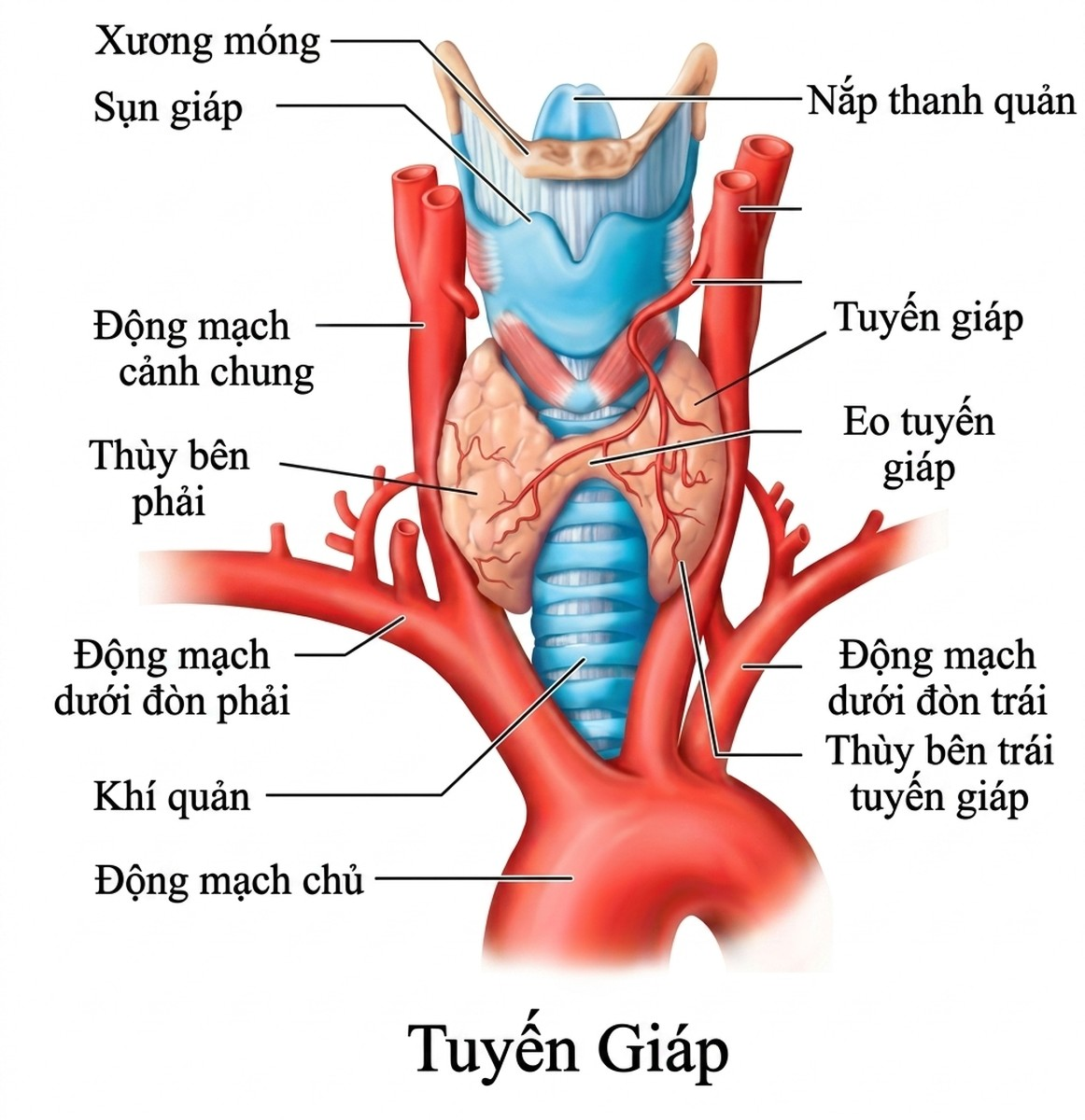 esoteric-anatomy-part-two-song-ngu-openai_upscaled_20260719_140641-19.webp 00002.jpg