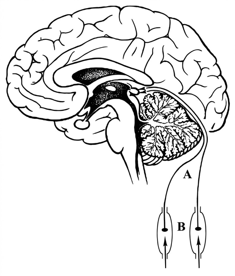 esoteric-anatomy-part-two-song-ngu-openai_upscaled_20260719_140641-45.webp 00039.jpg