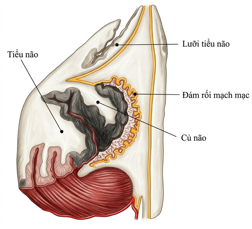 esoteric-anatomy-part-two-song-ngu-openai_upscaled_20260719_140641-54.webp 00030.jpg