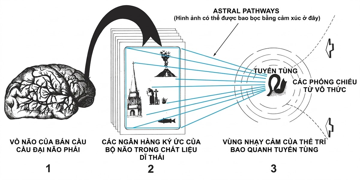 esoteric-anatomy-part-two-song-ngu-openai_upscaled_20260719_140641-55.webp 00033.jpg