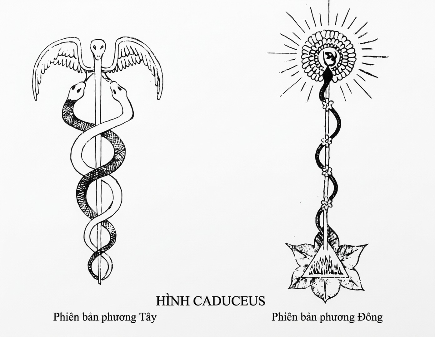 esoteric-healing-1-song-ngu_upscaled_20260719_093937-03.webp esoteric-healing-1-song-ngu_upscaled_20260719_093937-03.webp