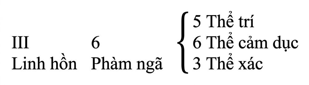 esoteric-psychology_-the-seven-rays-song-ngu_upscaled_20260719_094034-30.webp 00034.jpeg