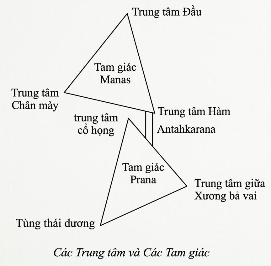 meditation-theory-and-prratices-song-ngu_upscaled_20260719_021409-06.webp 00001.jpeg