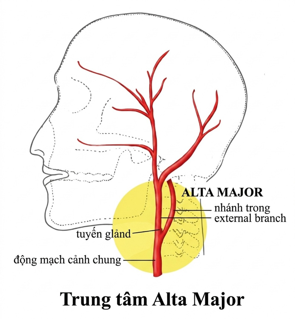 meditation-theory-and-prratices-song-ngu_upscaled_20260719_021409-07.webp 00021.jpeg