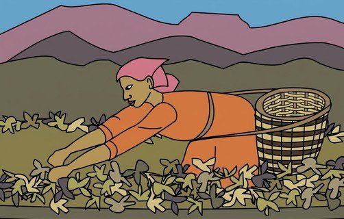 phan-ii-cac-dau-hieu-new-52.jpg A person picking plants from a basket
AI-generated content may be incorrect.