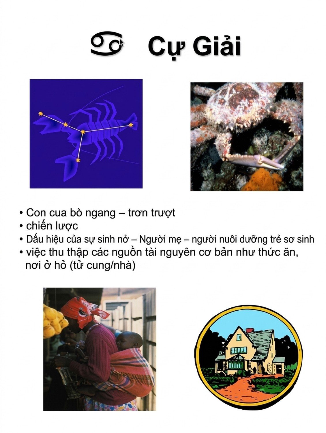 student-webinar-2_cleaned_an-vi-02.jpg