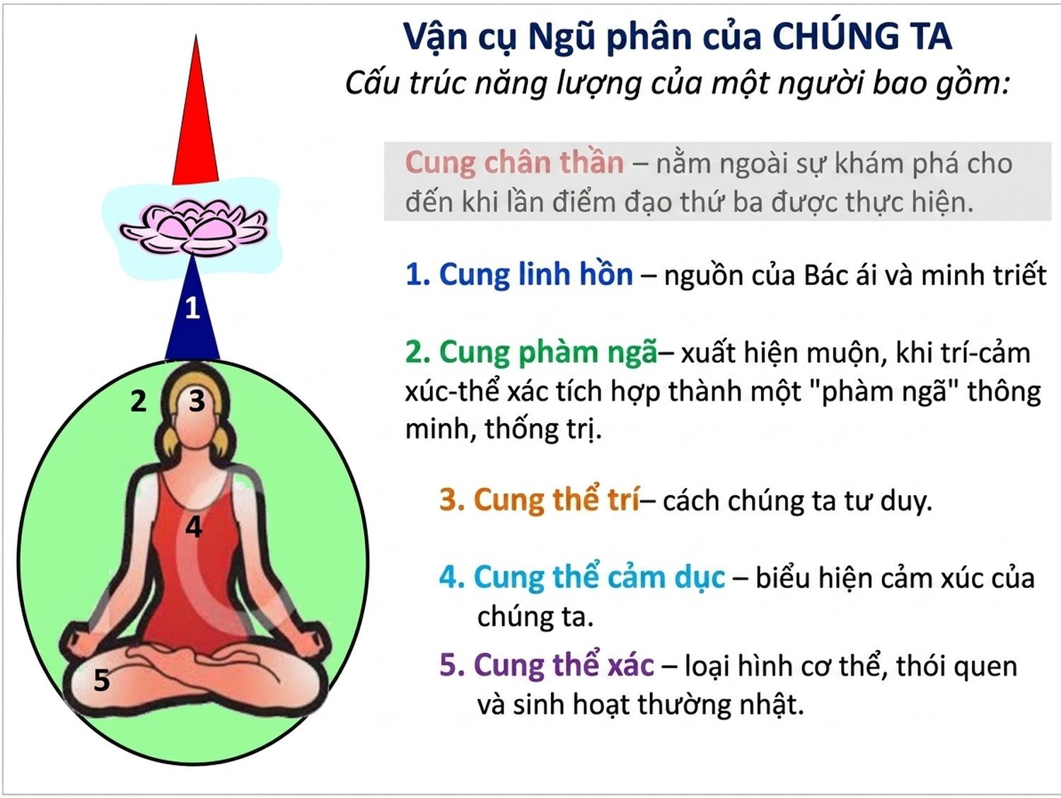 student-webinar-4_cleaned_an-vi-01.jpg student-webinar-4_cleaned_an-vi-01.jpg