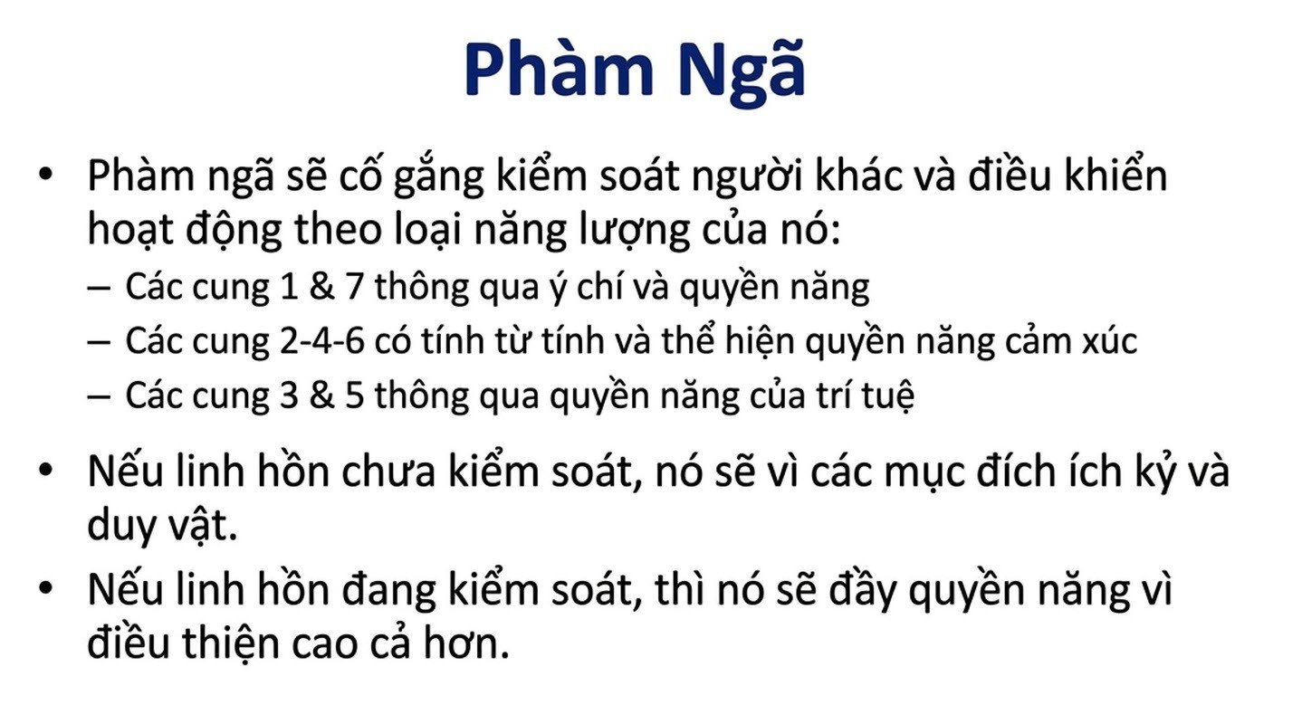 student-webinar-4_cleaned_an-vi-04.jpg student-webinar-4_cleaned_an-vi-04.jpg