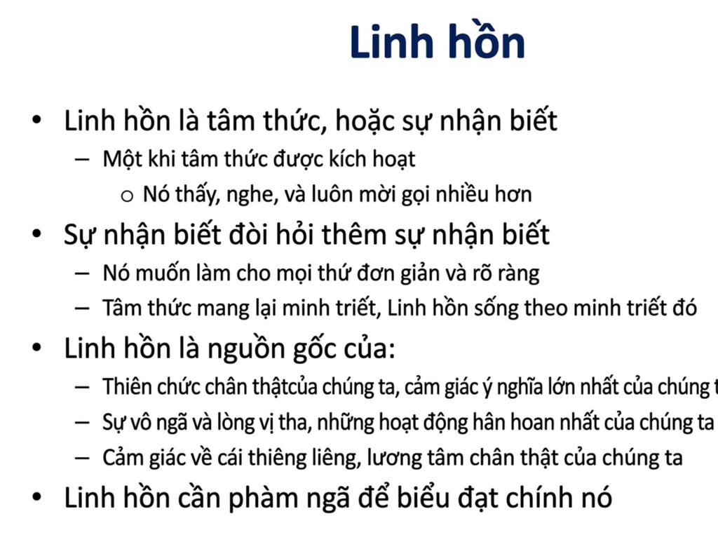 student-webinar-5_cleaned_an-vn-05.jpg student-webinar-5_cleaned_an-vn-05.jpg