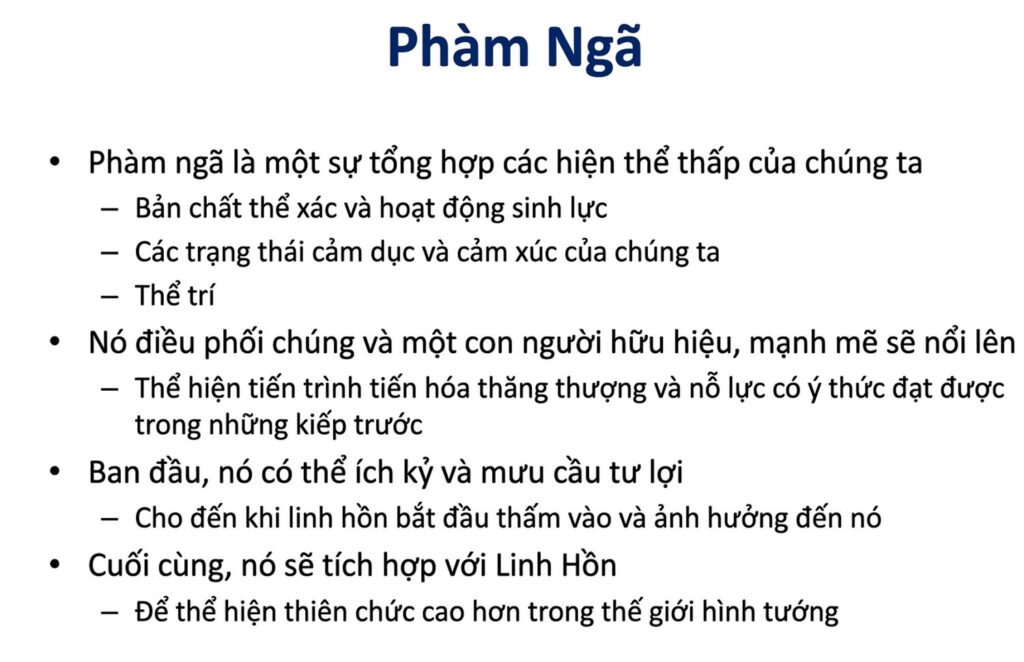 student-webinar-5_cleaned_an-vn-07.jpg student-webinar-5_cleaned_an-vn-07.jpg