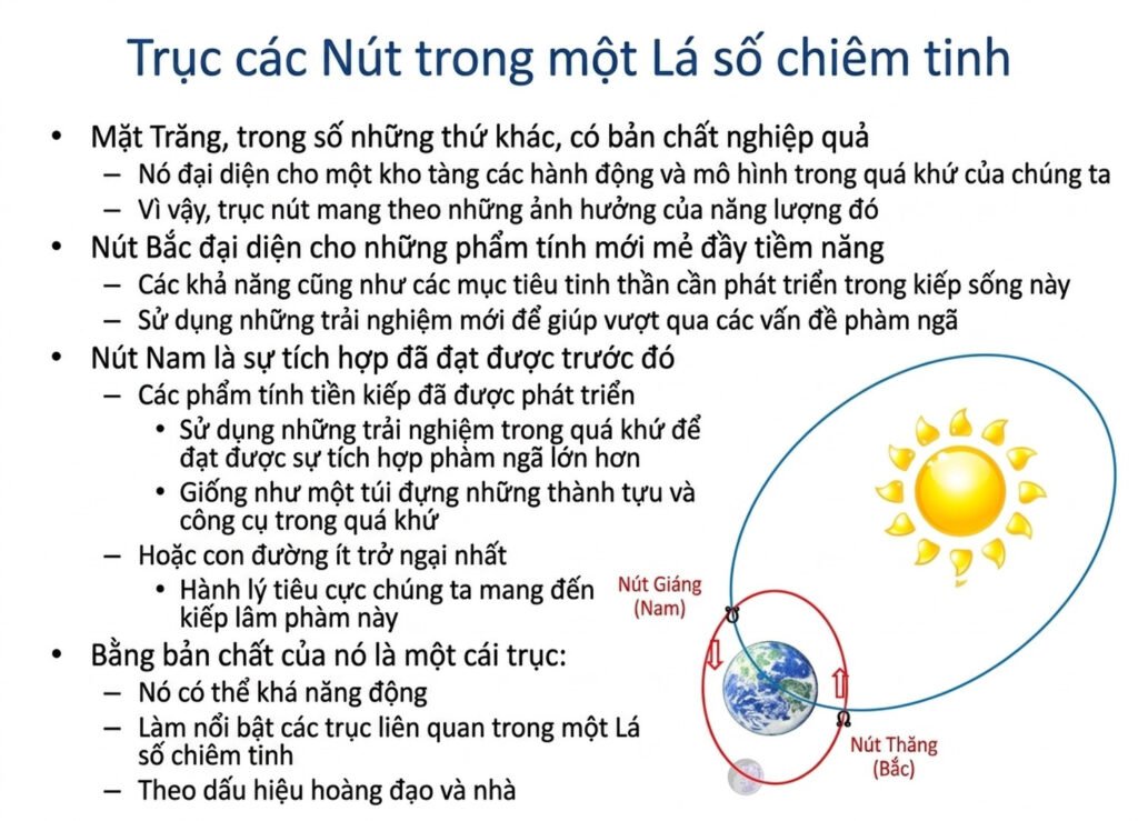 student-webinar-5_cleaned_an-vn-11.jpg student-webinar-5_cleaned_an-vn-11.jpg