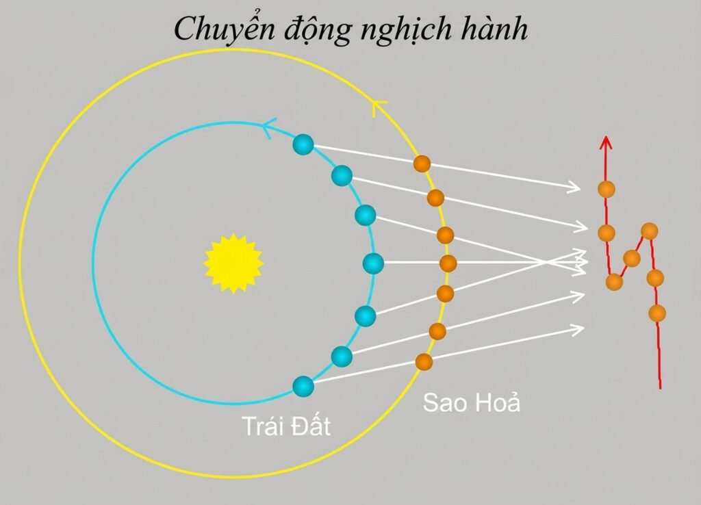 student-webinar-5_cleaned_an-vn-18.jpg student-webinar-5_cleaned_an-vn-18.jpg