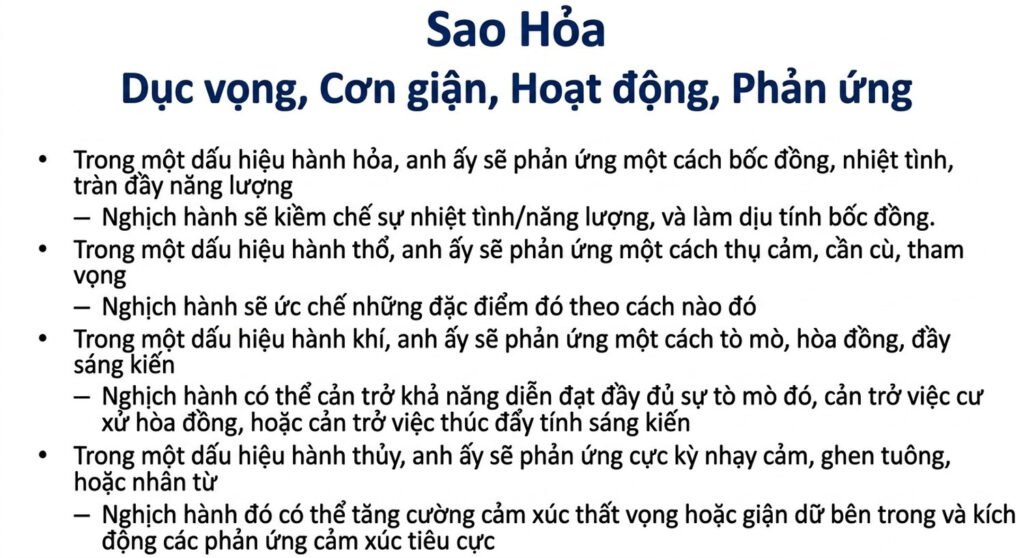 student-webinar-5_cleaned_an-vn-26.jpg student-webinar-5_cleaned_an-vn-26.jpg