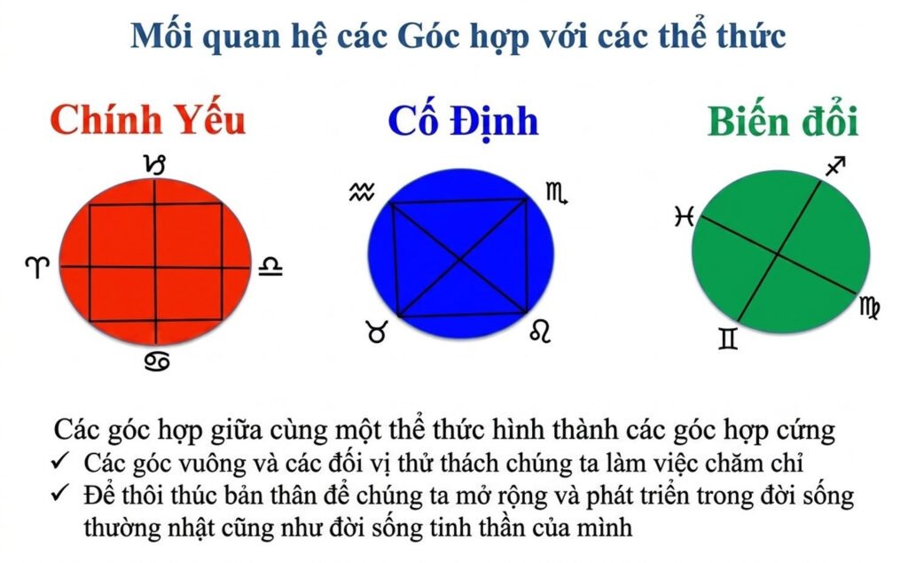 student-webinar-5_cleaned_an-vn-33.jpg student-webinar-5_cleaned_an-vn-33.jpg