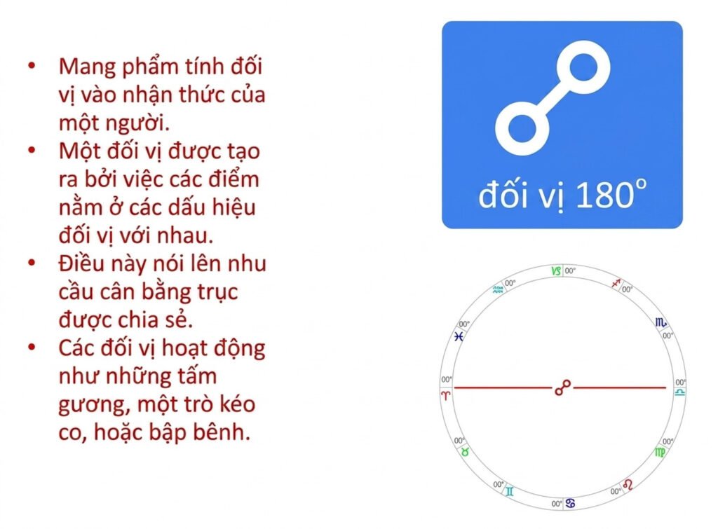 student-webinar-5_cleaned_an-vn-34.jpg student-webinar-5_cleaned_an-vn-34.jpg