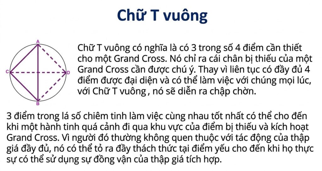 student-webinar-5_cleaned_an-vn-41.jpg student-webinar-5_cleaned_an-vn-41.jpg