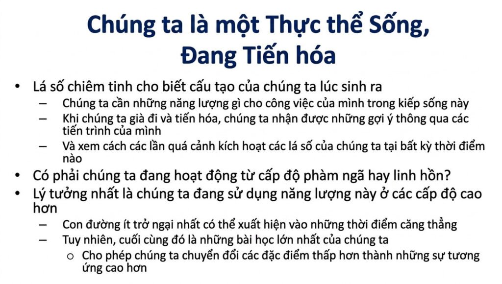student-webinar-5_cleaned_an-vn-49.jpg student-webinar-5_cleaned_an-vn-49.jpg