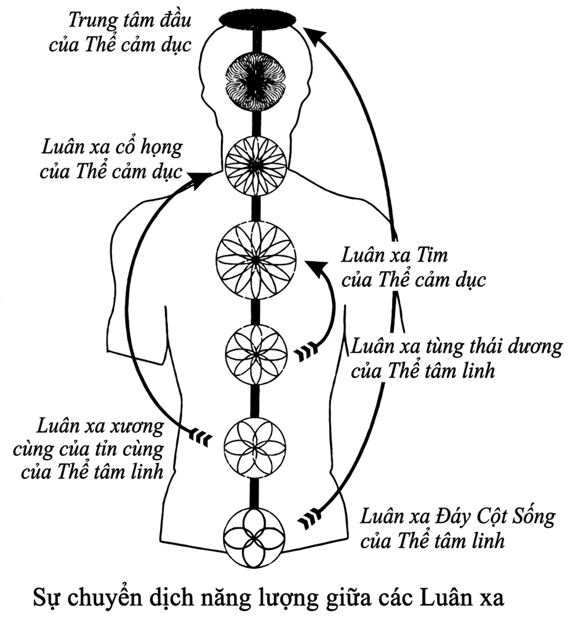 the-egoic-lotus_-song-ngu_upscaled_20260719_021859-18.webp 00022.jpg