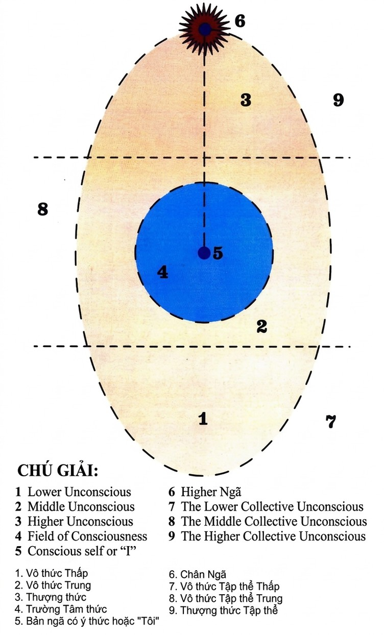 A diagram of a cell



AI-generated content may be incorrect.