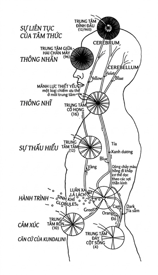 the-opening-of-the-third-eye-douglas-baker-song-ngu_upscaled_20260719_022025-13.webp 00026.jpeg