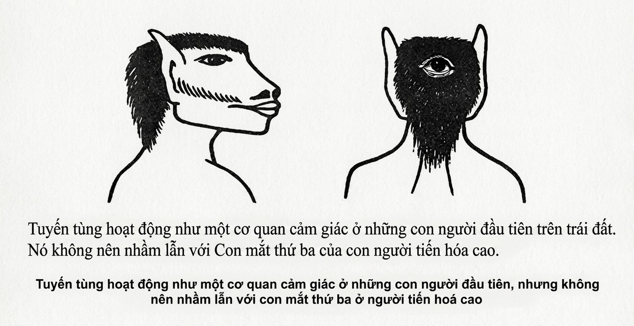 the-opening-of-the-third-eye-douglas-baker-song-ngu_upscaled_20260719_022025-16.webp A drawing of a person with a beard and a person with a beard
Description automatically generated