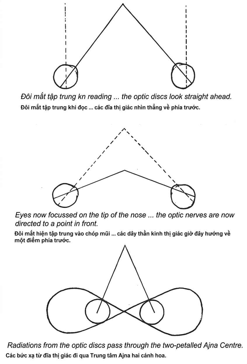 the-opening-of-the-third-eye-douglas-baker-song-ngu_upscaled_20260719_022025-28.webp A diagram of a diagram of a triangle
Description automatically generated with medium confidence