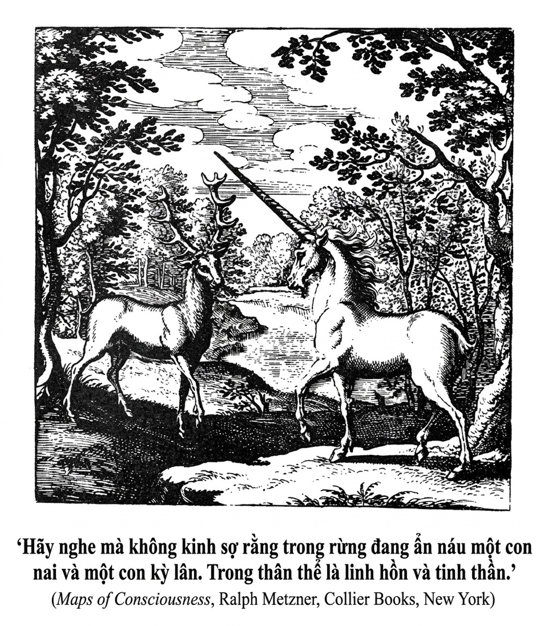 the-third-eye-song-ngu-all_upscaled_20260719_022226-12.webp 00012.jpeg