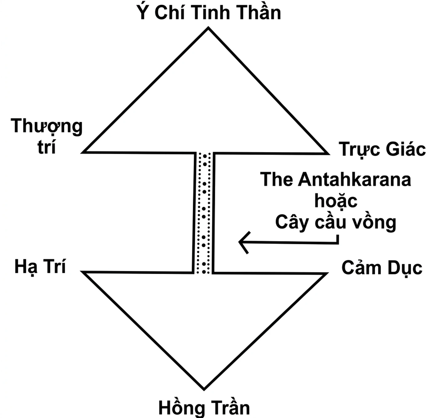 2.-the-soul-the-personality-and-the-rainbow-bridge-linh-hon-pham-nga-va-cay-cau-vong-04.webp