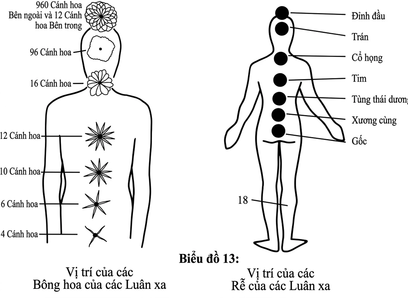 8.-an-initial-view-of-the-chakras-cai-nhin-ban-dau-ve-cac-luan-xa-01.webp