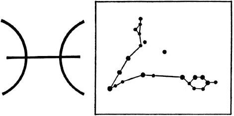 ao-s-chiem-tinh-toan-tap-phan-ii-gia-dinh-vu-tru-cua-loai-nguoi-cac-dau-hieu-hoang-dao-14.jpg A constellation and a symbol
AI-generated content may be incorrect.