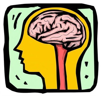 A drawing of a human head



AI-generated content may be incorrect.