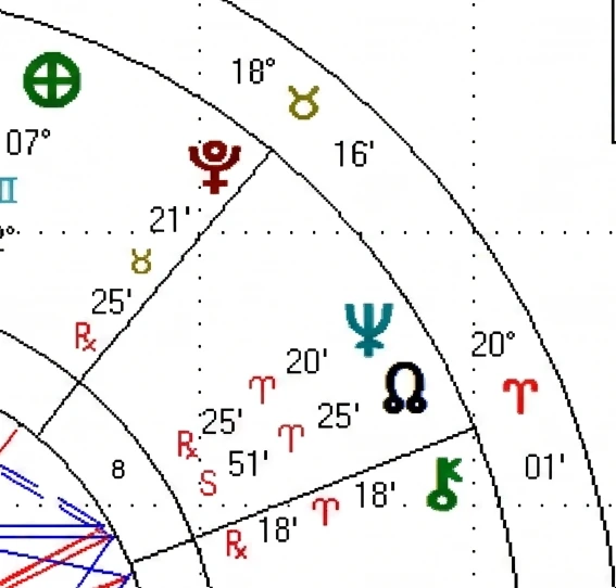 astrological-chart-delineation-12_edited-vn-04.webp