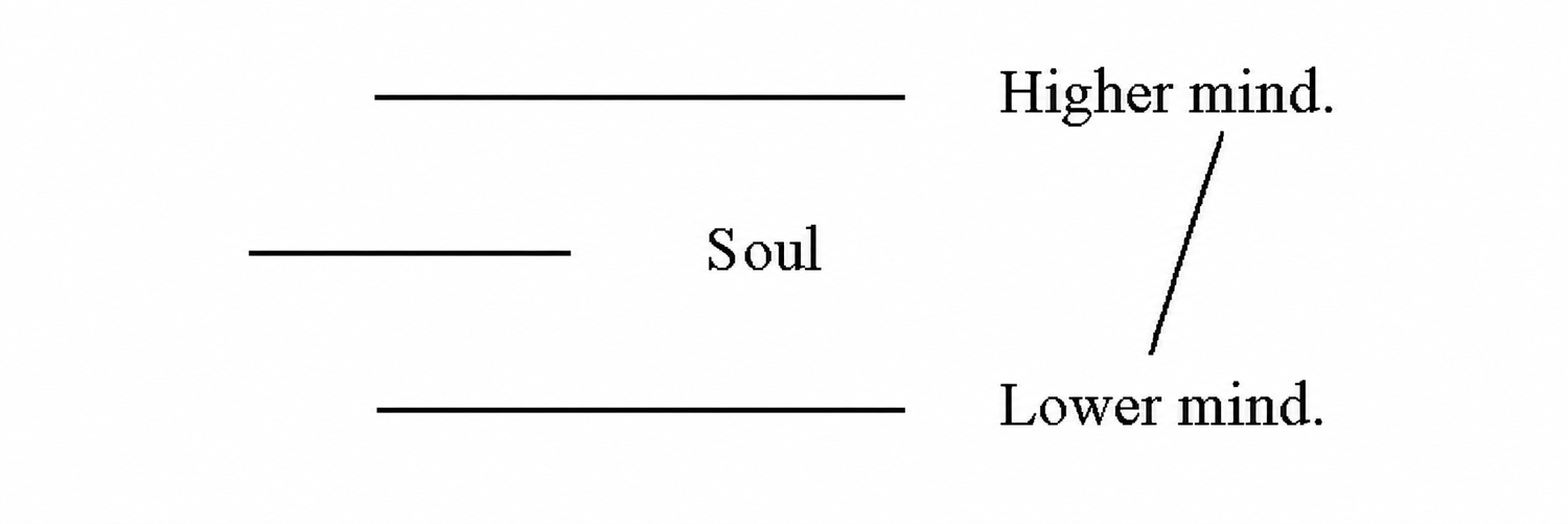 image_2345.jpg