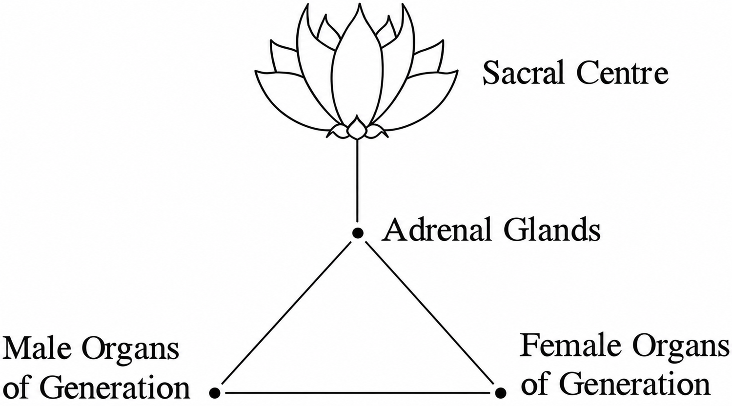 esoteric-healing-part-1-20261013-06.webp