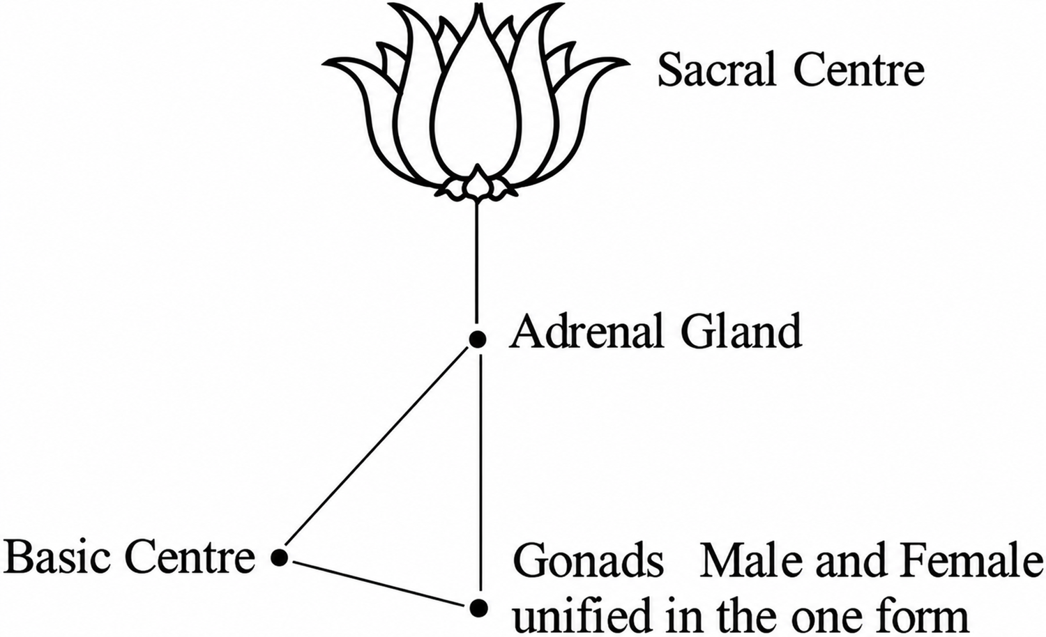 esoteric-healing-part-1-20261013-07.webp