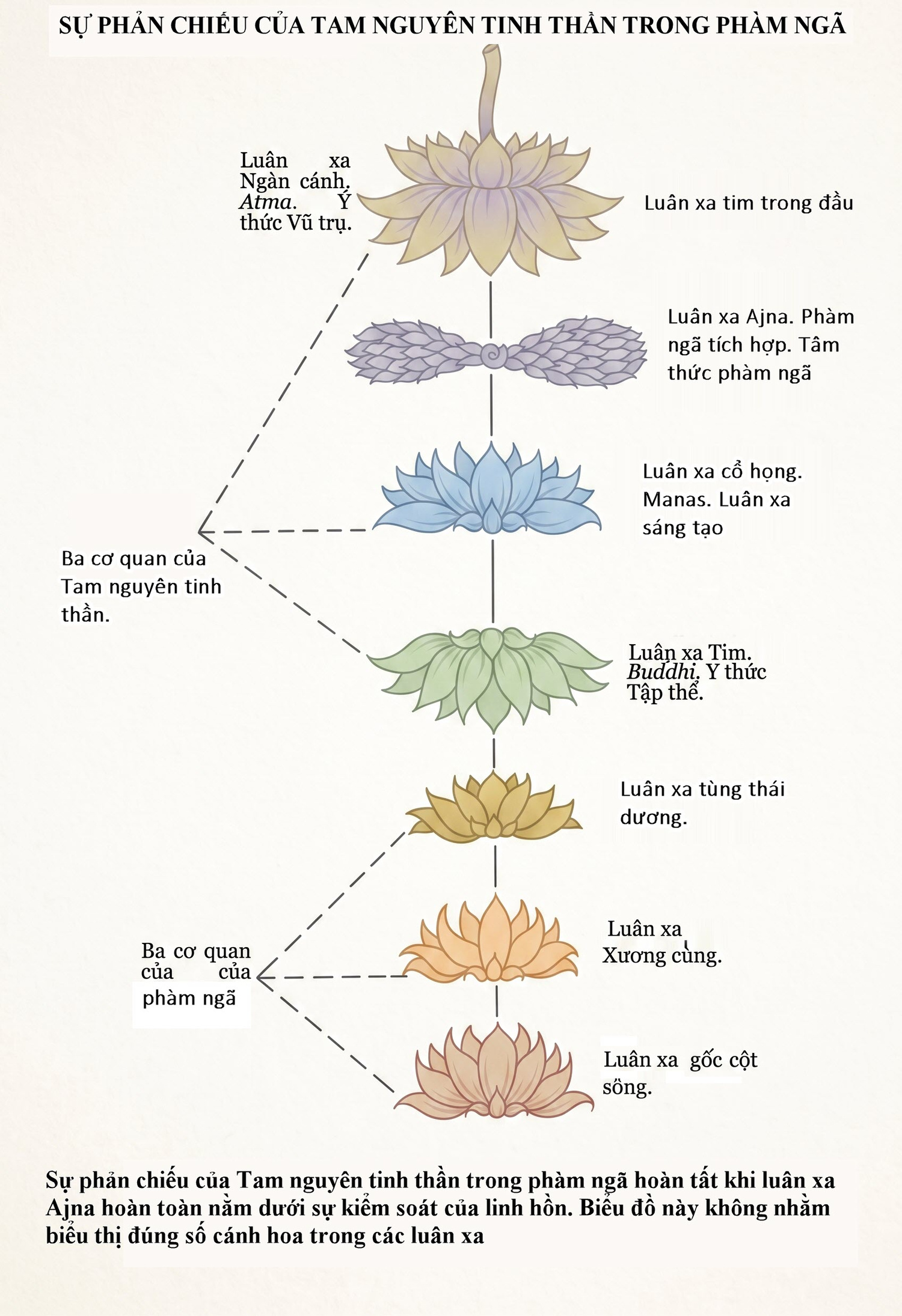 esoteric-healing-part-10-20261013-01.webp