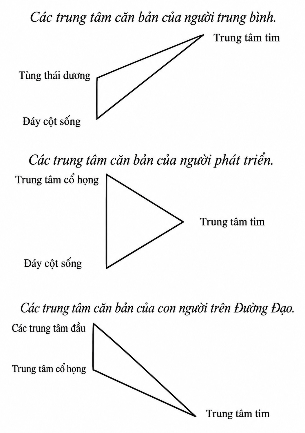 letters-on-occult-meditation-with-omitted-texts-part-4-20261013-01.webp