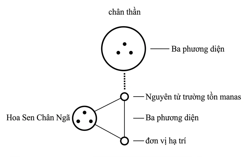 ri-rid-p6-01.webp image_2296.jpg