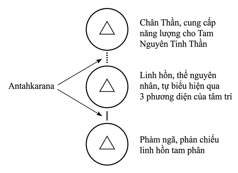 ri-rid-p6-02.webp image_2300.jpg