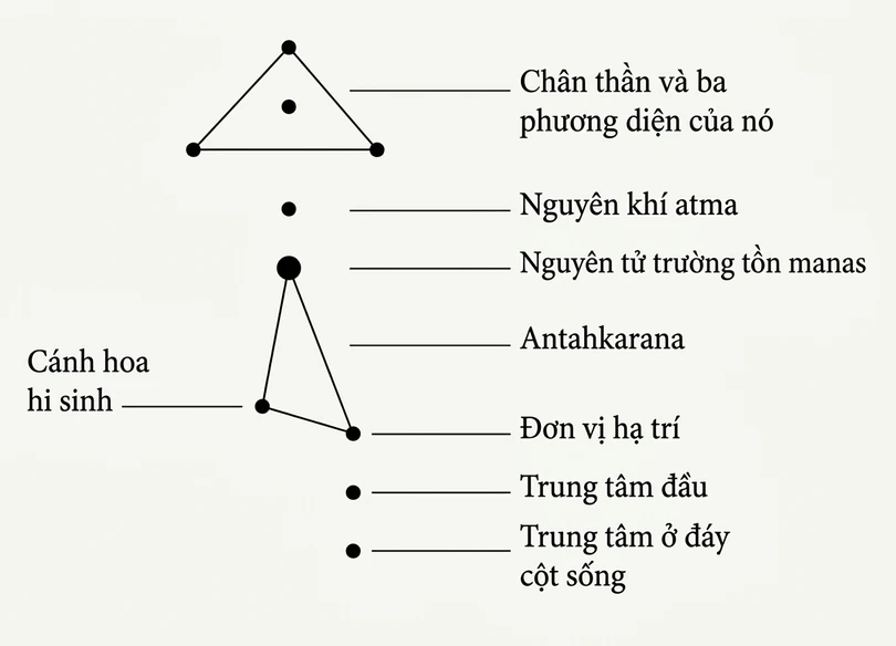 ri-rid-p6-03.webp image_2704.jpg