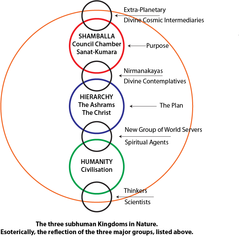 source-5c87b903-rid-p2-16.webp A diagram of a colorful circle
Description automatically generated with medium confidence
