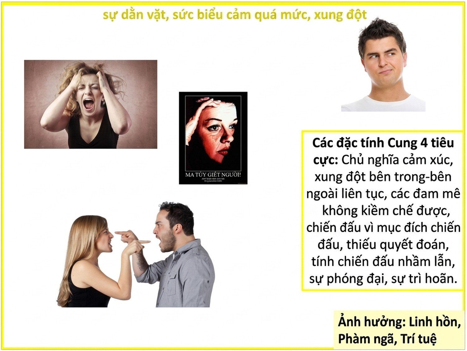 @url:https://minhtrietmoi.com/wp-content/uploads/pictures/2026-07-26 10_05_56-PowerPoint Presentation - Nitro Pro.jpg