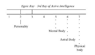 A diagram of the body of a person
AI-generated content may be incorrect. @url:https://minhtrietmoi.com/wp-content/uploads/pictures/image1.jpeg